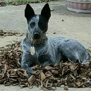 Meet your Posher, Viviano